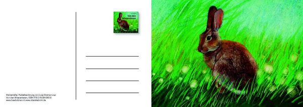 Produktbild: Von den Wiesentieren &ndash; Ein Postkartenbuch