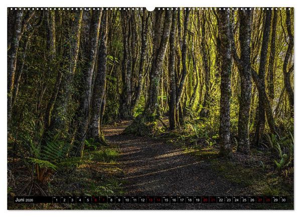 Produktbild: Trauminseln Neuseeland (Wandkalender 2026 DIN A2 quer), CALVENDO Monatskalender