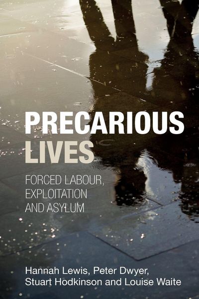 Produktbild: Precarious lives