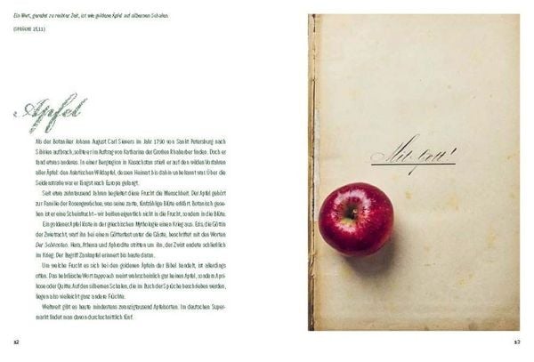 Produktbild: Der Garten der Bibel