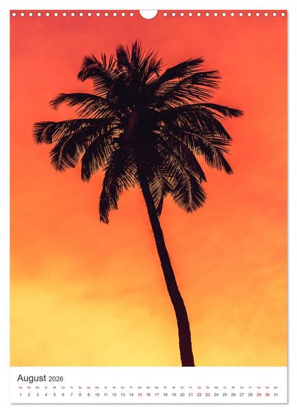 Produktbild: Palm Springs - Immer der Sonne nach. (Wandkalender 2026 DIN A3 hoch), CALVENDO Monatskalender