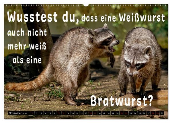 Produktbild: Spruchreif - Gute-Laune-Kalender (hochwertiger Premium Wandkalender 2026 DIN A2 quer), Kunstdruck in Hochglanz
