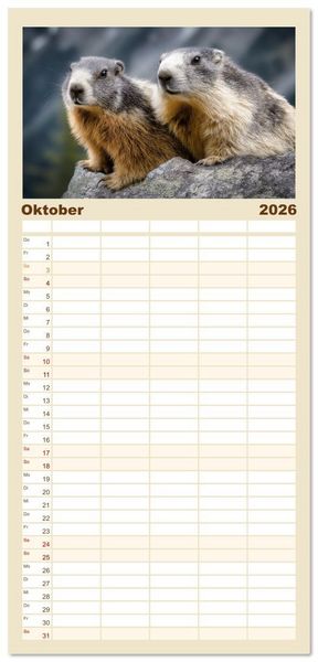 Produktbild: Familienplaner 2026 - Alpenpl&uuml;sch - Mit Murmeltieren durchs Jahr mit 5 Spalten (Wandkalender, 21 x 45 cm) CALVENDO
