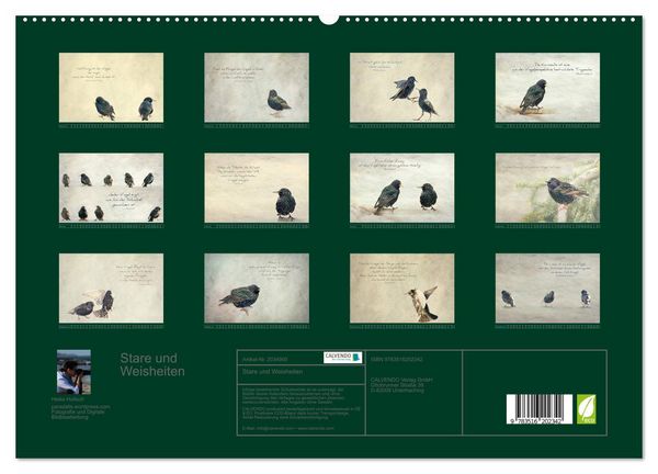 Produktbild: Stare und Weisheiten (hochwertiger Premium Wandkalender 2026 DIN A2 quer), Kunstdruck in Hochglanz