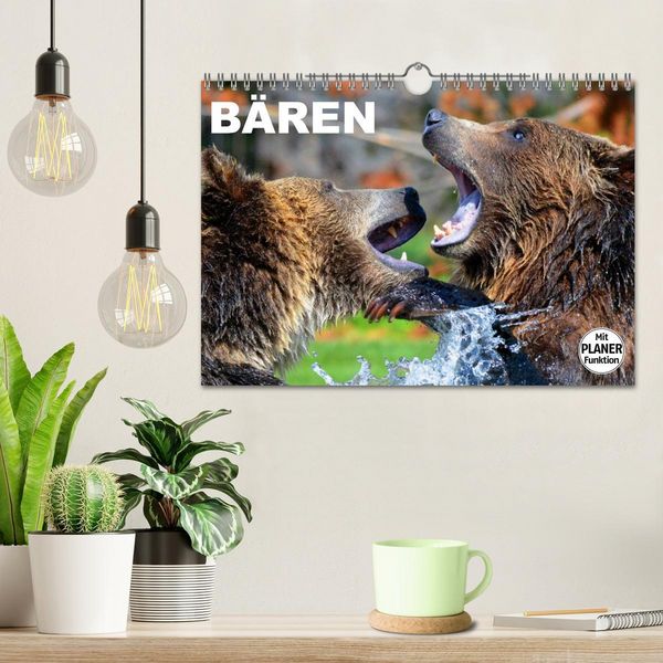 Produktbild: B&auml;ren (Wandkalender 2026 DIN A4 quer), CALVENDO Monatskalender