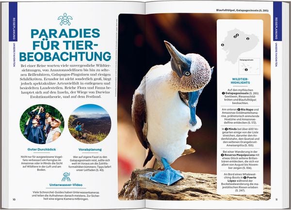Produktbild: LONELY PLANET Reiseführer Ecuador & Galápagosinseln