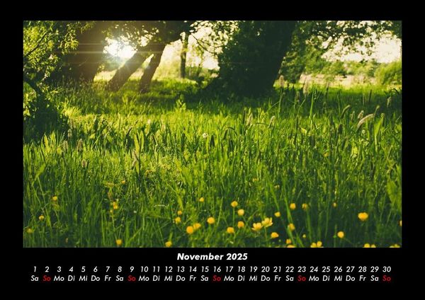 Produktbild: Pflanzen und Bl&uuml;ten 2025 Fotokalender DIN A3