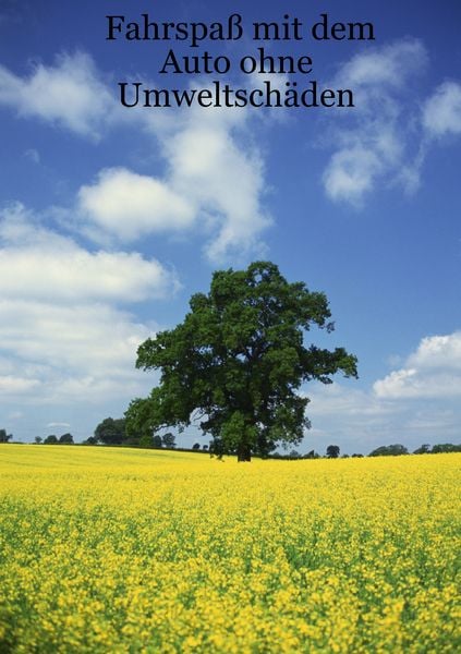 Produktbild: Fahrspa&szlig; mit dem Auto ohne Umweltsch&auml;den
