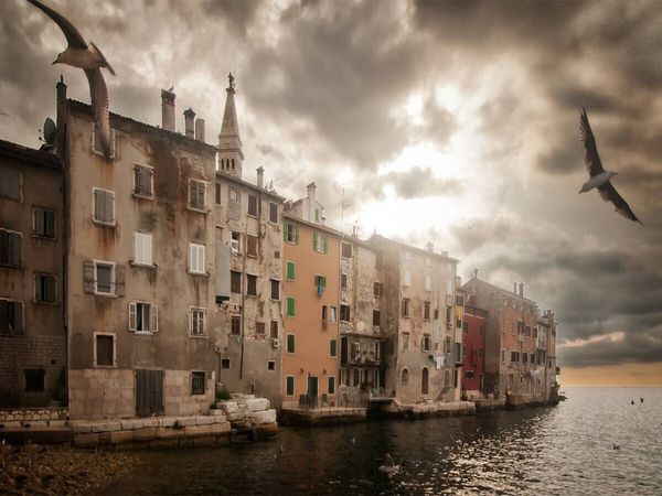 Produktbild: CALVENDO Puzzle Frei, wie ein Vogel in Rovinj! | 1000 Teile Lege-Gr&ouml;&szlig;e 64x48cm Foto-Puzzle f&uuml;r gl&uuml;ckliche Stunden