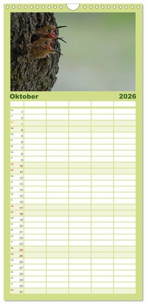 Produktbild: Familienplaner 2026 - Wiedehopf mit 5 Spalten (Wandkalender, 21 x 45 cm) CALVENDO
