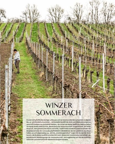 Produktbild: Die Weinmacher