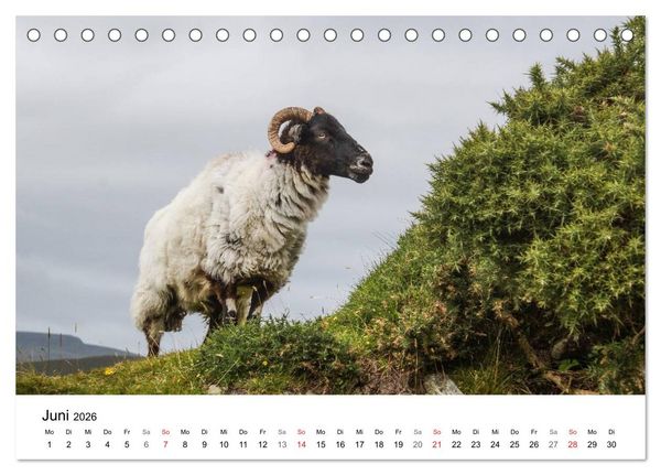 Produktbild: Irland wie gemalt (Tischkalender 2026 DIN A5 quer), CALVENDO Monatskalender