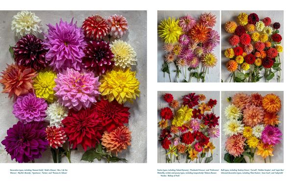 Produktbild: Life with Flowers