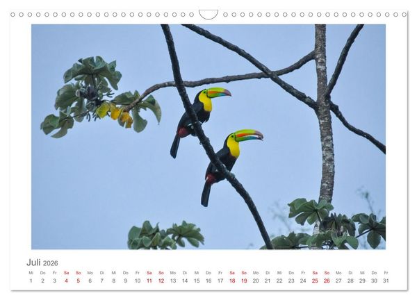 Produktbild: Costa Rica - unterwegs mit Julia Hahn (Wandkalender 2026 DIN A3 quer), CALVENDO Monatskalender