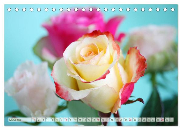 Produktbild: So viele sch&ouml;ne Rosen (Tischkalender 2026 DIN A5 quer), CALVENDO Monatskalender