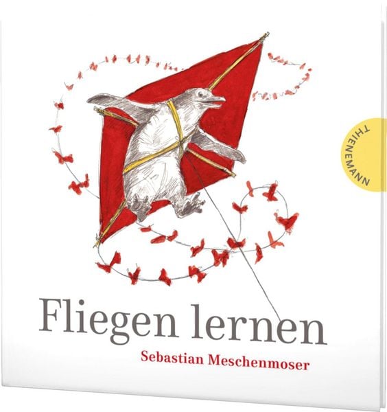 Produktbild: Fliegen lernen