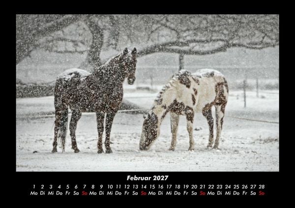 Produktbild: Die Welt der Pferde 2027 Fotokalender DIN A3