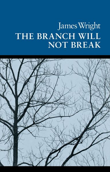 Produktbild: The Branch Will Not Break