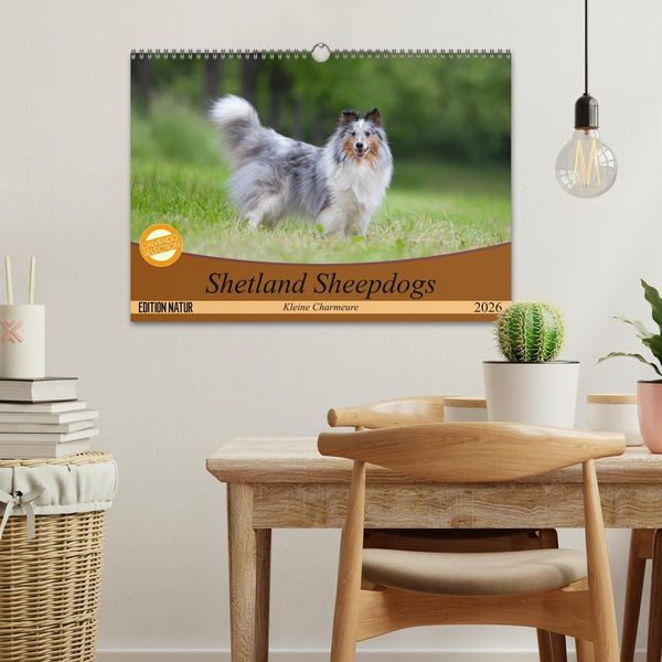 Produktbild: Shetland Sheepdogs - Kleine Charmeure (Wandkalender 2026 DIN A3 quer), CALVENDO Monatskalender