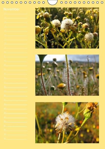 Produktbild: Zauberwelt der Blumen - Eiskristalle & Wasserperlen / Geburtstagskalender (Wandkalender immerw&auml;hrend DIN A4 hoch)