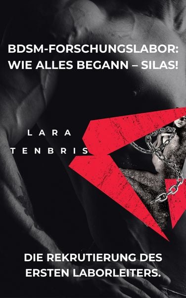 Produktbild: BDSM-Forschungslabor: Wie alles begann - Silas!