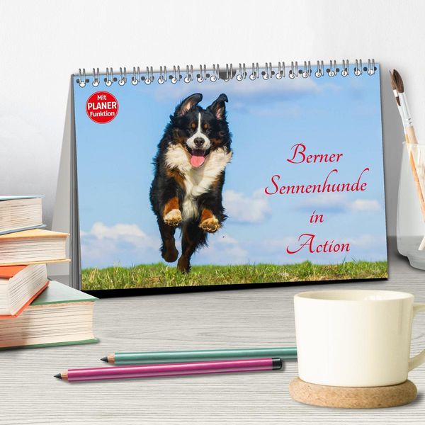 Produktbild: Berner Sennenhunde in Action (Tischkalender 2026 DIN A5 quer), CALVENDO Monatskalender