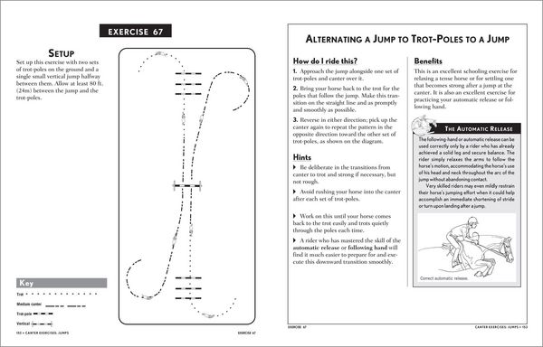 Produktbild: 101 Jumping Exercises for Horse & Rider