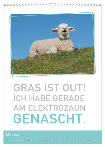 Produktbild: Tierisch bekloppt! (Wandkalender 2026 DIN A3 hoch), CALVENDO Monatskalender