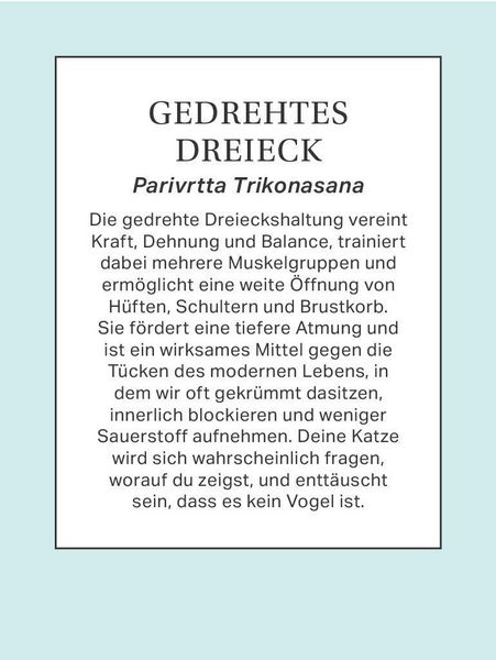 Produktbild: Yoga mit Katze