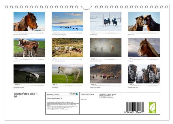 Produktbild: Islandpferde take it Isi (Wandkalender 2026 DIN A4 quer), CALVENDO Monatskalender