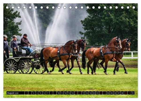 Produktbild: Fahrpferde in Aktion (Tischkalender 2026 DIN A5 quer), CALVENDO Monatskalender
