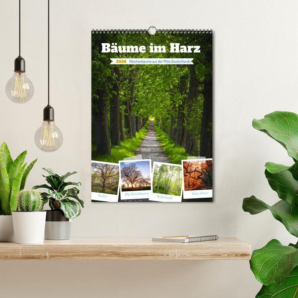 Produktbild: B&auml;ume im Harz (Wandkalender 2026 DIN A3 hoch), CALVENDO Monatskalender