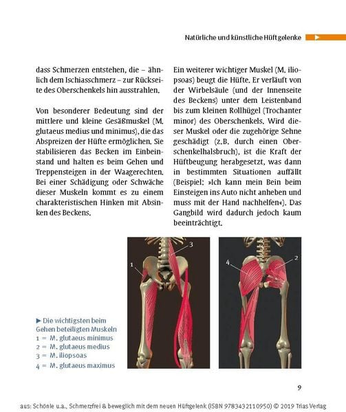Produktbild: Schmerzfrei & beweglich mit dem neuen H&uuml;ftgelenk