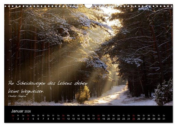 Produktbild: Poetische Wege (Wandkalender 2026 DIN A3 quer), CALVENDO Monatskalender
