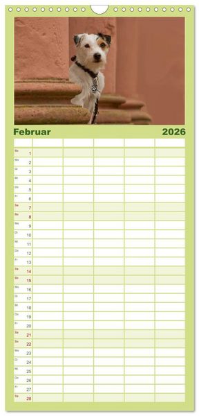 Produktbild: Familienplaner 2026 - Faszination Hund mit 5 Spalten (Wandkalender, 21 x 45 cm) CALVENDO