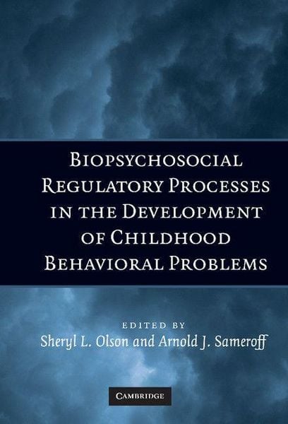 Produktbild: Biopsychosocial Regulatory Processes in the Development of Childhood Behavioral Problems