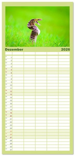 Produktbild: Familienplaner 2026 - Faszination Schlangen mit 5 Spalten (Wandkalender, 21 x 45 cm) CALVENDO