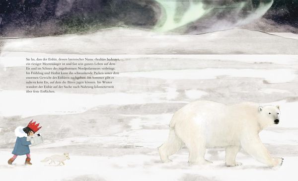 Produktbild: Der Eisb&auml;r