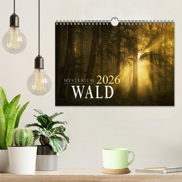 Produktbild: Mysterium Wald (Wandkalender 2026 DIN A4 quer), CALVENDO Monatskalender