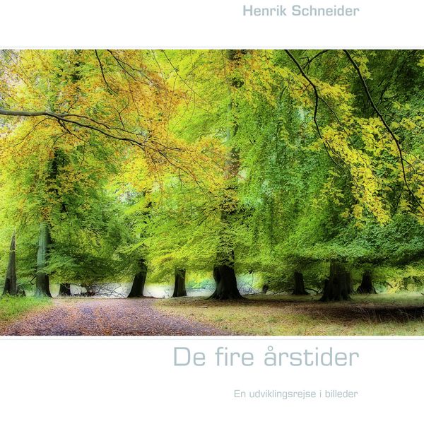 Produktbild: De fire &aring;rstider