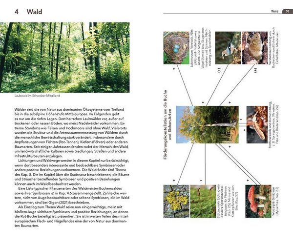 Produktbild: Symbiosen beobachten