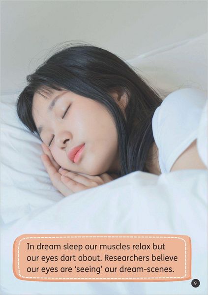 Produktbild: Set 12 - The Science of Dreaming