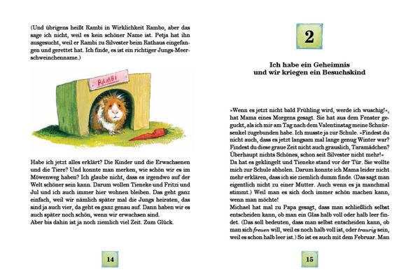 Geheimnis im Möwenweg / Möwenweg Band 6