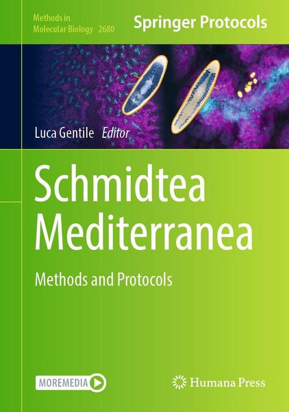 Produktbild: Schmidtea Mediterranea