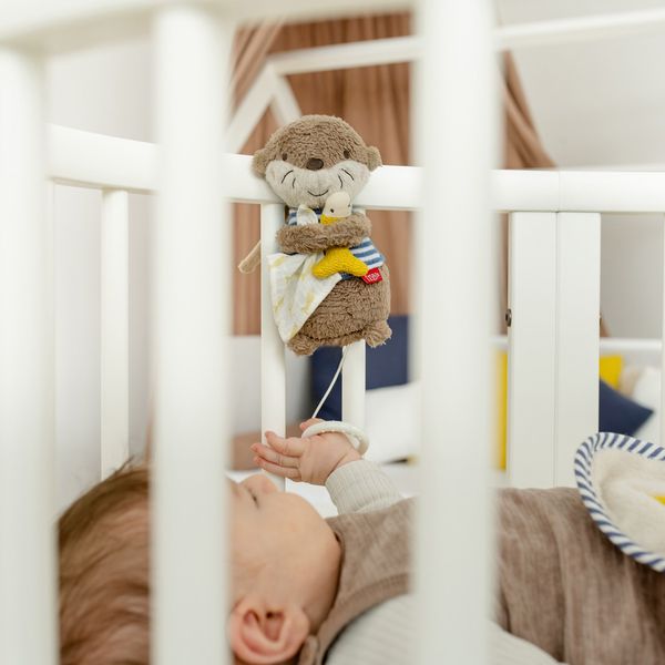 Produktbild: Mini-Spieluhr Otter