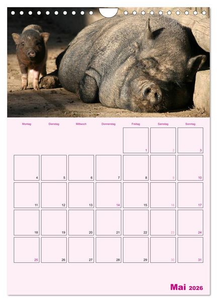 Produktbild: Schweinischer Terminplaner (Wandkalender 2026 DIN A4 hoch), CALVENDO Monatskalender