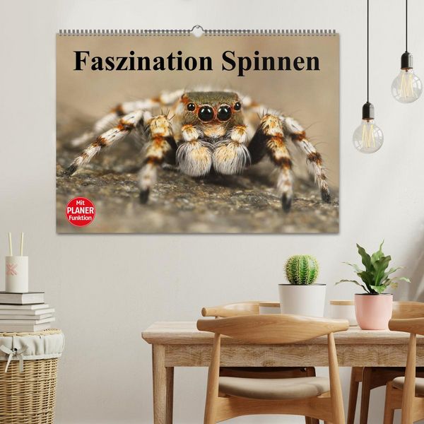 Produktbild: Faszination Spinnen (Wandkalender 2026 DIN A2 quer), CALVENDO Monatskalender