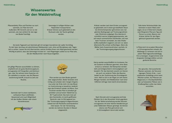 Produktbild: Die gro&szlig;e Waldapotheke