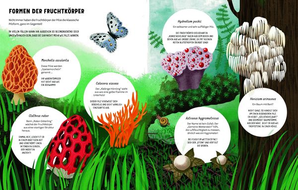 Produktbild: Die Geheimnisse der Pilze