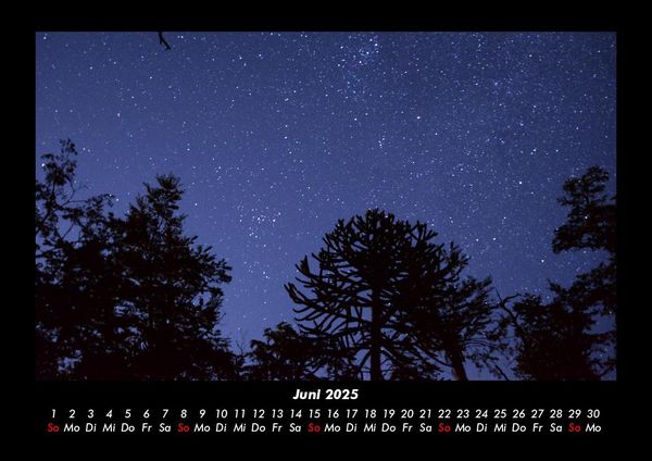 Produktbild: B&auml;ume 2025 Fotokalender DIN A3